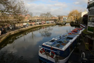 DSC_1384 (Large).JPG